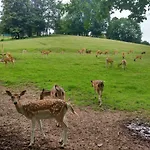 Und Panorama Am Highwalk Wildgehege Wanderwege Und Ruhe Rotenburg an der Fulda