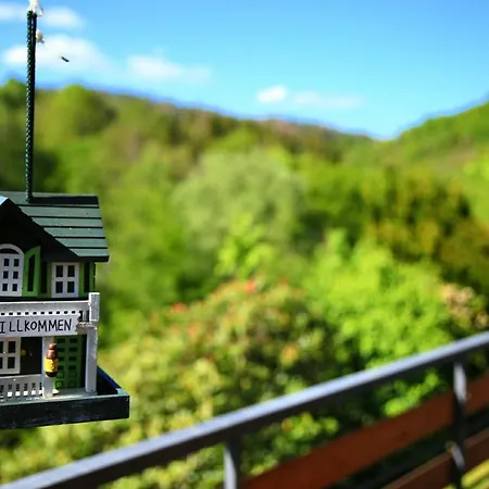 Und Panorama Am Highwalk Wildgehege Wanderwege Und Ruhe *