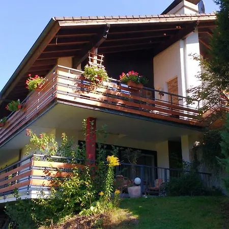 Und Panorama Am Highwalk Wildgehege Wanderwege Und Ruhe