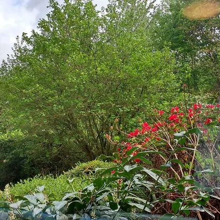 Lejlighed Und Panorama Am Highwalk Wildgehege Wanderwege Und Ruhe *