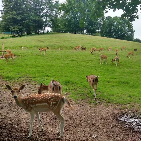 Und Panorama Am Highwalk Wildgehege Wanderwege Und Ruhe Rotenburg an der Fulda