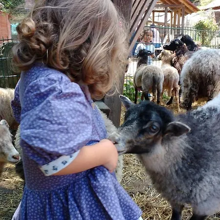 Und Panorama Am Highwalk Wildgehege Wanderwege Und Ruhe Lejlighed