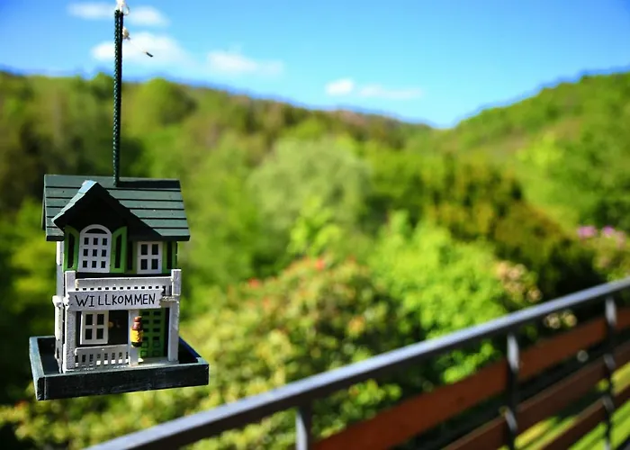 Und Panorama Am Highwalk Wildgehege Wanderwege Und Ruhe *