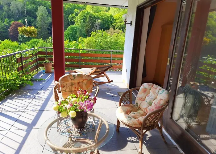 Und Panorama Am Highwalk Wildgehege Wanderwege Und Ruhe * Ротенбург-на-Фульде