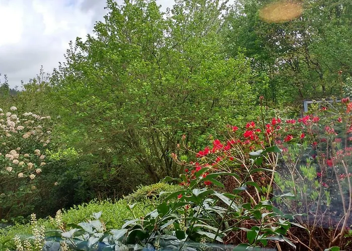 Апартаменты Und Panorama Am Highwalk Wildgehege Wanderwege Und Ruhe *