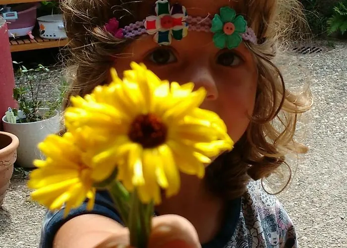 Und Panorama Am Highwalk Wildgehege Wanderwege Und Ruhe Апартаменты Ротенбург-на-Фульде