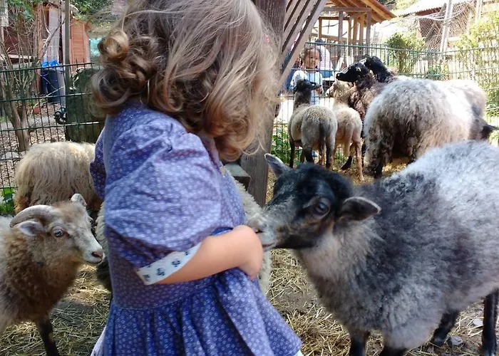 Und Panorama Am Highwalk Wildgehege Wanderwege Und Ruhe Апартаменты